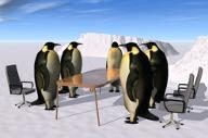penguin-directors