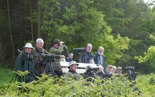 Wykeham Forest Jun 2019