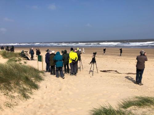 Norfolk 2022 - Titchwell beach - who suggested skinny dipping