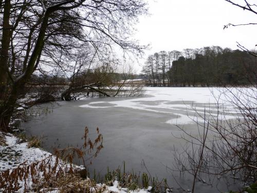 Rode Pool in Winter by Colin Lythgoe