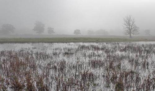 Elton Hall Flash Misty Morn Oct 2017 by Dennis Swaby