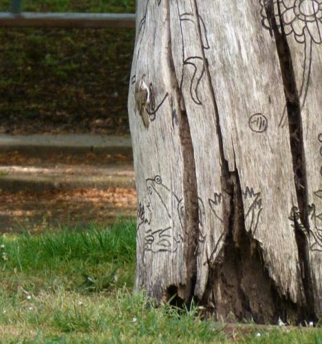 Treecreeper at Congleton Park May 20 by Nigel Henderson